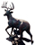 Creation Buck