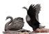 Creation Swans --- 22
