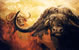 Cape Buffalo 2 --- 38 1/2